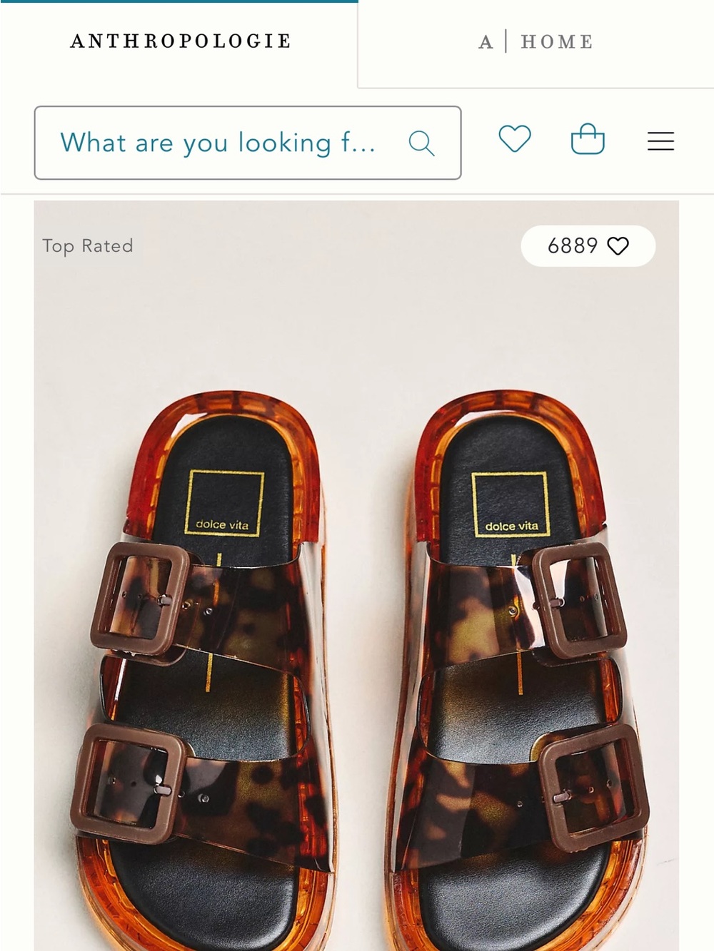 Dolce Vita Kids Tortoiseshell Buckle Slide Sandals in Brown and Black